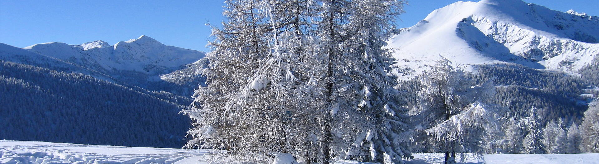 Mittelkärnten Wintergenuss