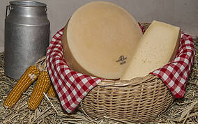 Käse aus Kirchbach in der Naturarena Kärnten