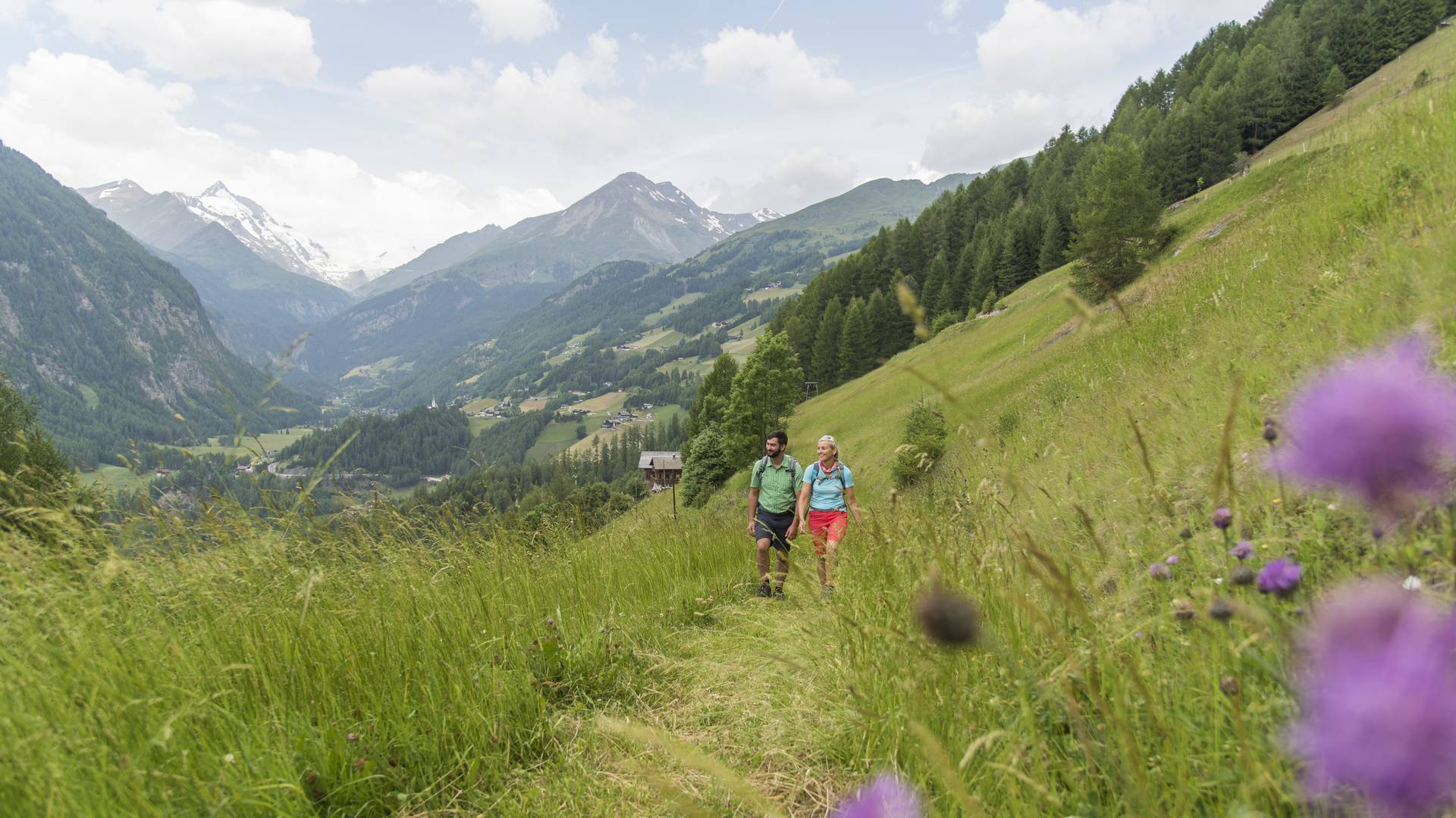 <p>Alpe Adria Trail, bei Schachern mit Blick auf den Glockner, bei Heiligenblut</p>