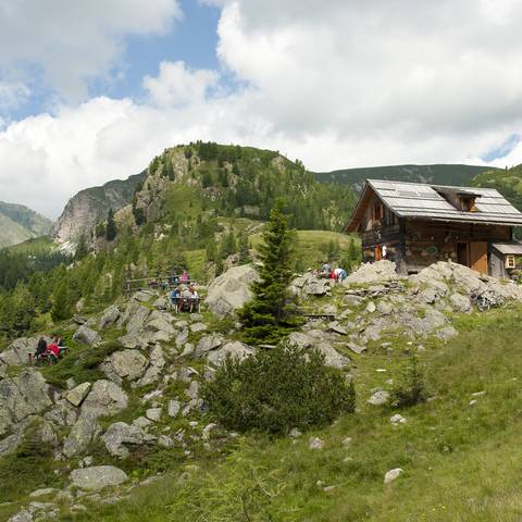 Naturerlebnis Kärnten Bad Kleinkirchheim Sommer 2012