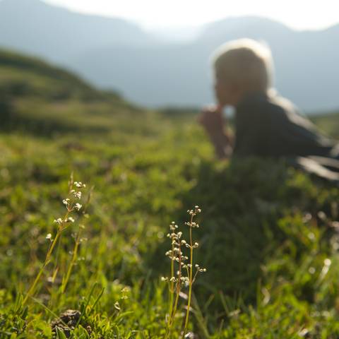 Naturerlebnis Kärnten Bad Kleinkirchheim Sommer 2012