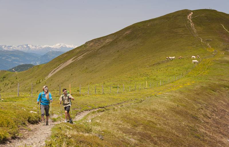 Wandern am Alpe Adria Trail Nockberge
