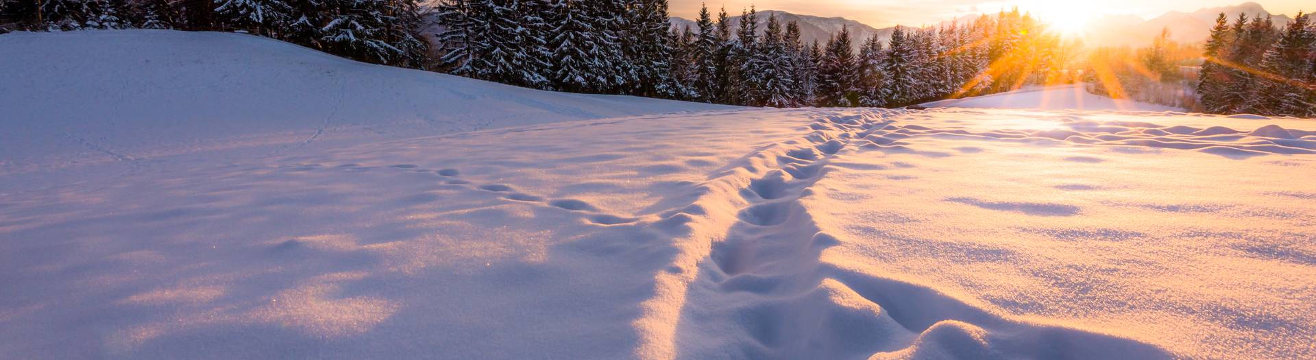 <p>Winterlandschaft bei Sonnenuntergang</p>