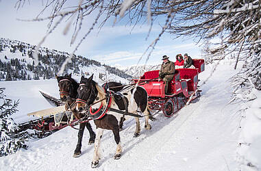 Social Katschberg Winter Pferdeschlitten Gontal c Franz Gerdl