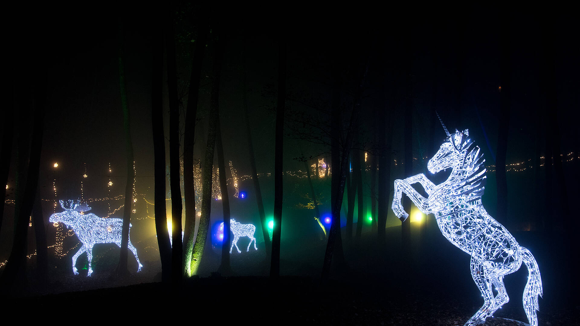 Domaene Lilienberg Advent